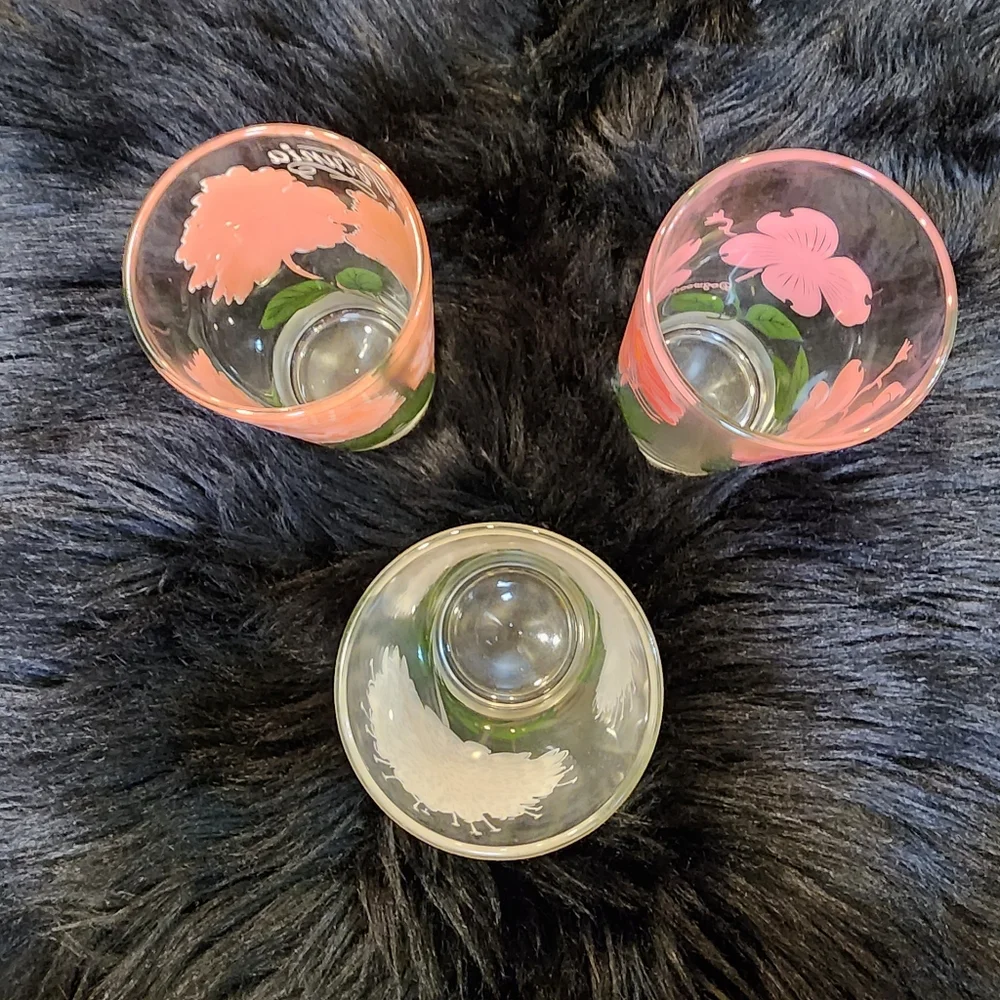 Set of 3 Vintage Floral Drinking Glasses